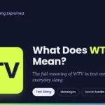 wtv meaning in text